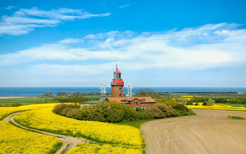 Rapsblüte in Deutschland: Schlüsselkultur der heimischen Landwirtschaft - Foto: presseportal.de