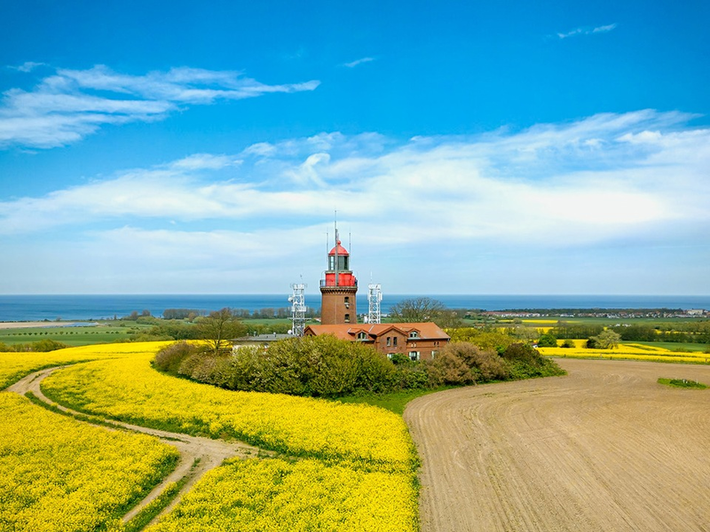 Rapsblüte in Deutschland: Schlüsselkultur der heimischen Landwirtschaft - Foto: presseportal.de