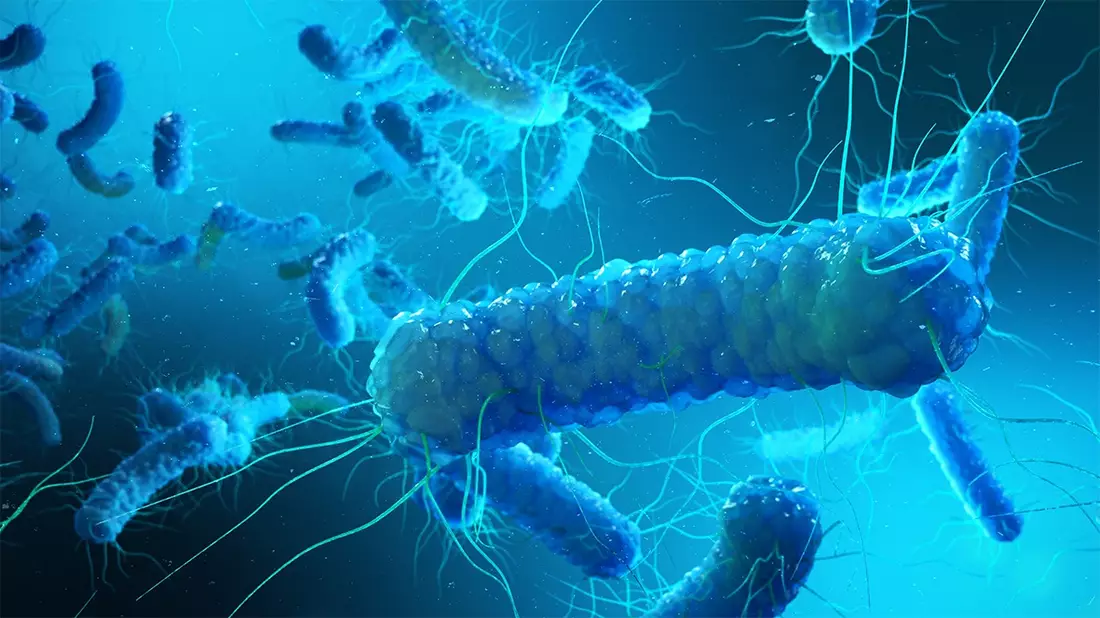 Legionellenrisiko oft unterschätzt: Warum Vermieter aktiv werden müssen / Trinkwasserhygiene in Wohngebäuden - Verantwortung von Vermietern und Eigentümern - Bild: presseportal.de