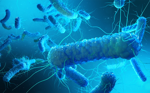 Legionellenrisiko oft unterschätzt: Warum Vermieter aktiv werden müssen / Trinkwasserhygiene in Wohngebäuden - Verantwortung von Vermietern und Eigentümern - Foto: presseportal.de