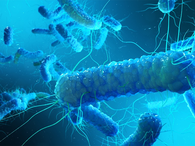 Legionellenrisiko oft unterschätzt: Warum Vermieter aktiv werden müssen / Trinkwasserhygiene in Wohngebäuden - Verantwortung von Vermietern und Eigentümern - Foto: presseportal.de