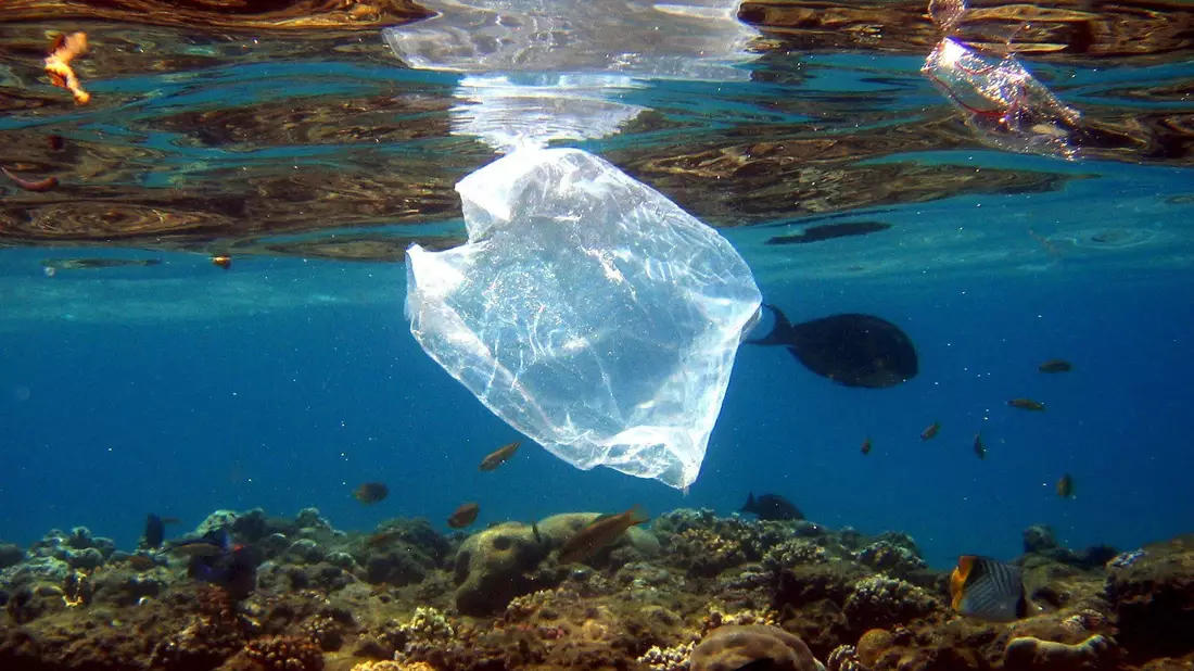 Plastikmüll im Meer - Bild: Mike Nelson/epa/dpa-tmn