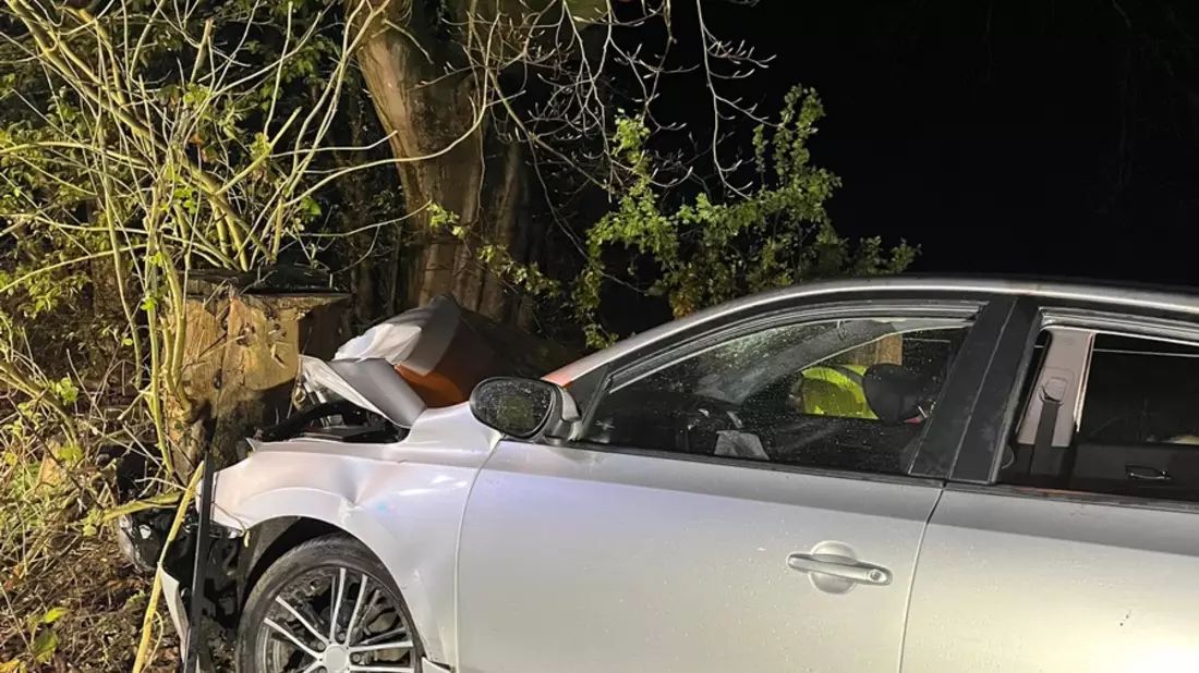 POL-MI: Pkw prallt gegen Baum - vier Verletzte - Bild: presseportal.de