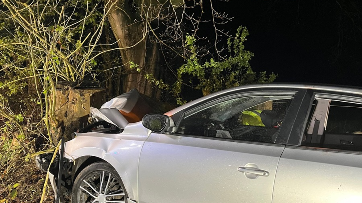 POL-MI: Pkw prallt gegen Baum - vier Verletzte - Foto: presseportal.de