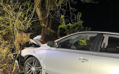 POL-MI: Pkw prallt gegen Baum - vier Verletzte - Foto: presseportal.de