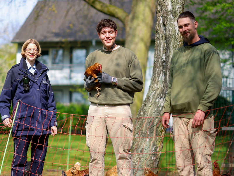 Das Projekt wird zehn Jahre alt - die Zahl der Hühner wächst und wächst - Foto: Christoph Reichwein/dpa