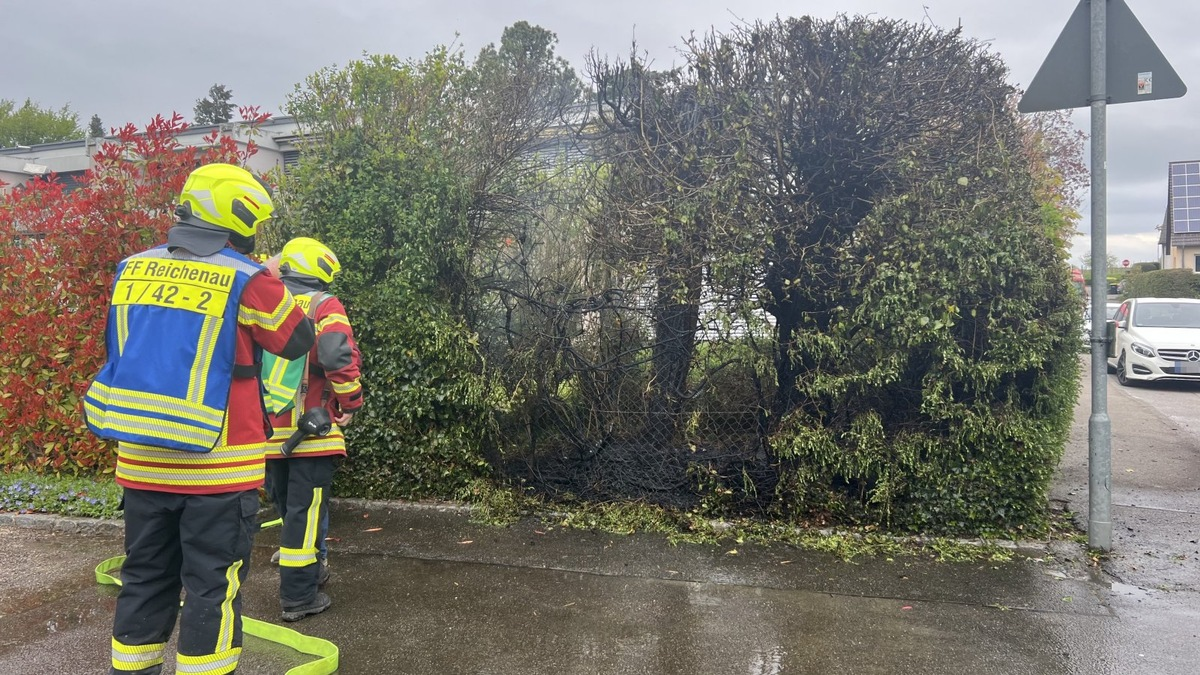 FW Reichenau: Brennende Hecke schnell gelöscht, Reichenau-Mittelzell, 16.04.2025 - Foto: presseportal.de