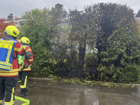 FW Reichenau: Brennende Hecke schnell gelöscht, Reichenau-Mittelzell, 16.04.2025 - Foto: presseportal.de