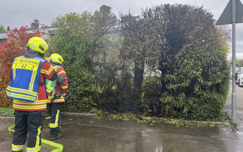 FW Reichenau: Brennende Hecke schnell gelöscht, Reichenau-Mittelzell, 16.04.2025 - Foto: presseportal.de