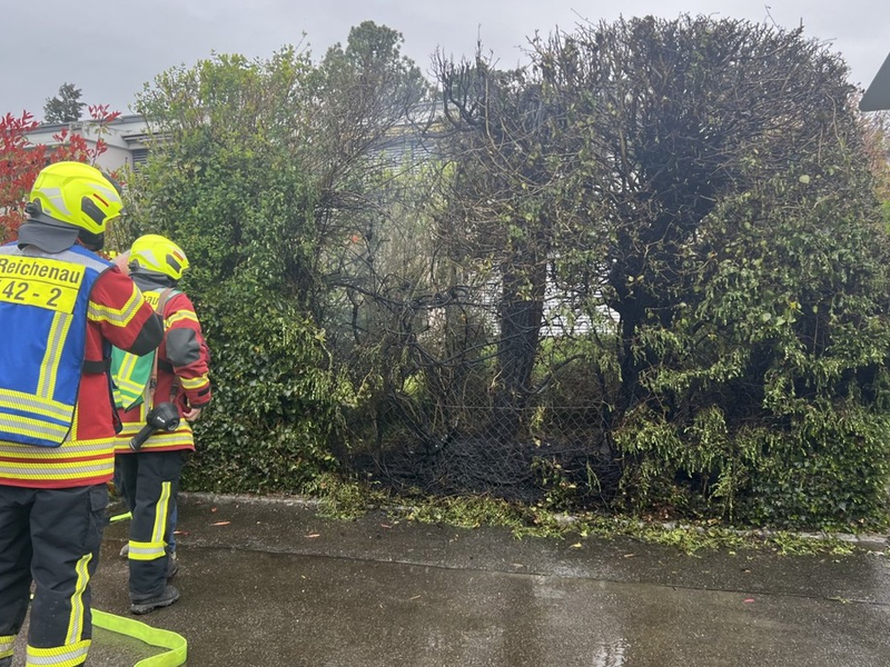 FW Reichenau: Brennende Hecke schnell gelöscht, Reichenau-Mittelzell, 16.04.2025 - Foto: presseportal.de
