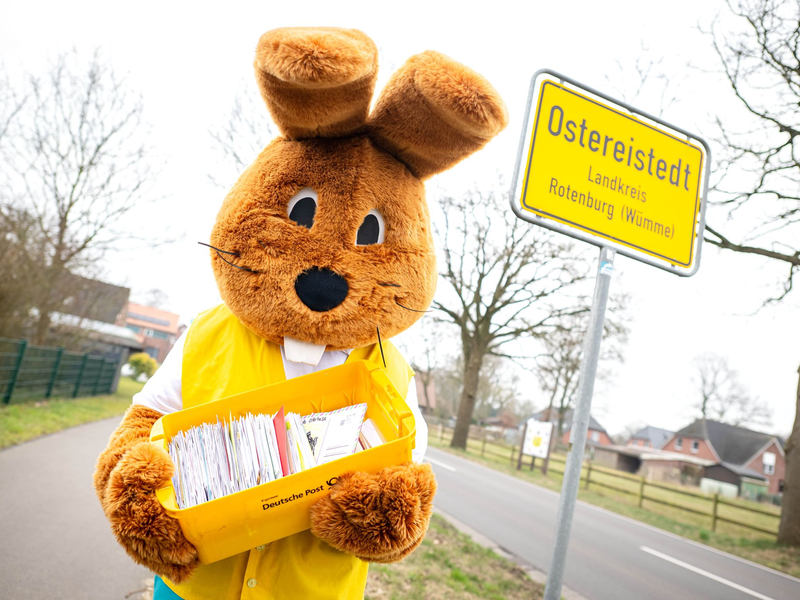Insgesamt wurden 75.000 Briefe an Hanni Hase gelesen und beantwortet. (Archivbild) - Foto: Sina Schuldt/dpa