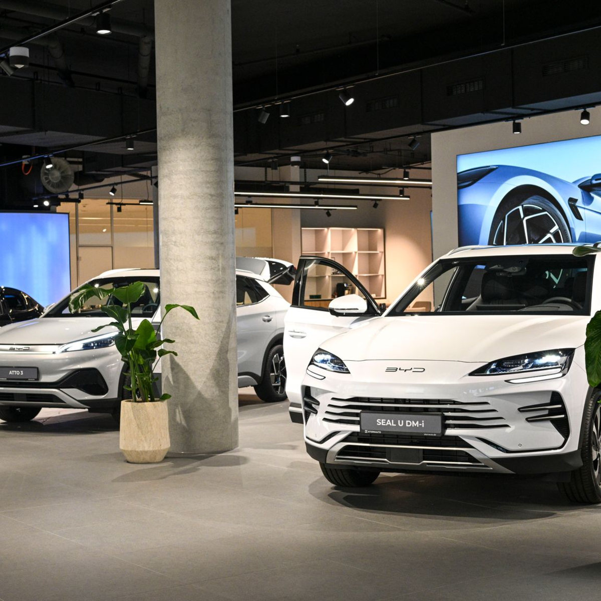 Ein BYD-Store in Berlin. Die Marke setzt nicht auf billig. (Archivbild) - Foto: Jens Kalaene/dpa