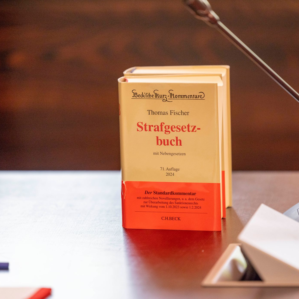 Der Bundesrat hat im Sommer vergangenes Jahr einen neuen Straftatbestand vorgeschlagen. (Symbolbild) - Foto: Thomas Banneyer/dpa