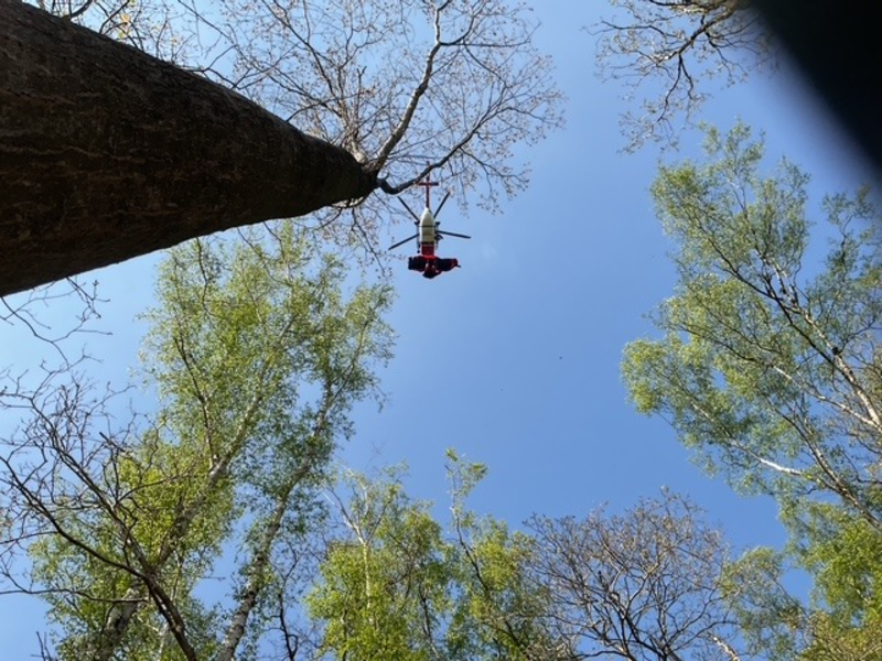 FW-DO: Gestürzter Mountainbikefahrer im Wald - Foto: presseportal.de