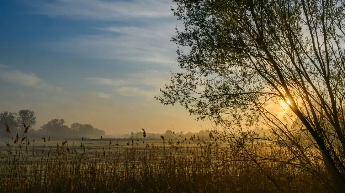 Nach einem sonnigen Start in den Ostersonntag droht es in Teilen Deutschlands, ungemütlich zu werden.  - Bild: Patrick Pleul/dpa