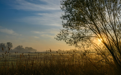 Nach einem sonnigen Start in den Ostersonntag droht es in Teilen Deutschlands, ungemütlich zu werden.  - Foto: Patrick Pleul/dpa