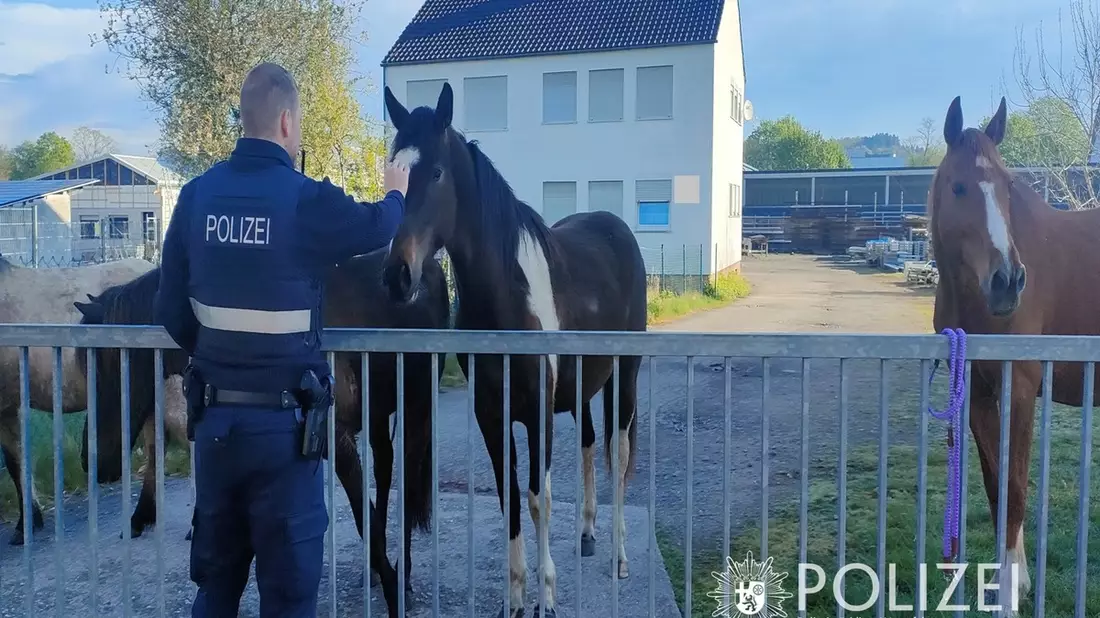POL-PIZW: Cowboy & Polizist - Tierischer Osterausflug - Bild: presseportal.de