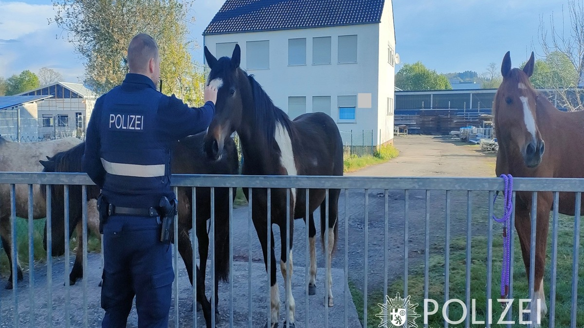 POL-PIZW: Cowboy & Polizist - Tierischer Osterausflug - Foto: presseportal.de