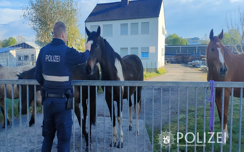 POL-PIZW: Cowboy & Polizist - Tierischer Osterausflug - Foto: presseportal.de