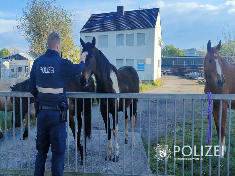 POL-PIZW: Cowboy & Polizist - Tierischer Osterausflug - Foto: presseportal.de