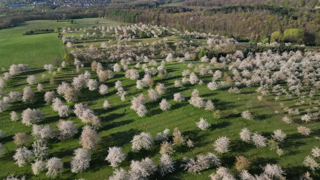 Sonne und Wolken wechseln sich am Ostermontag in Deutschland ab, sagt der Deutsche Wetterdienst.  - Bild: Matthias Bein/dpa