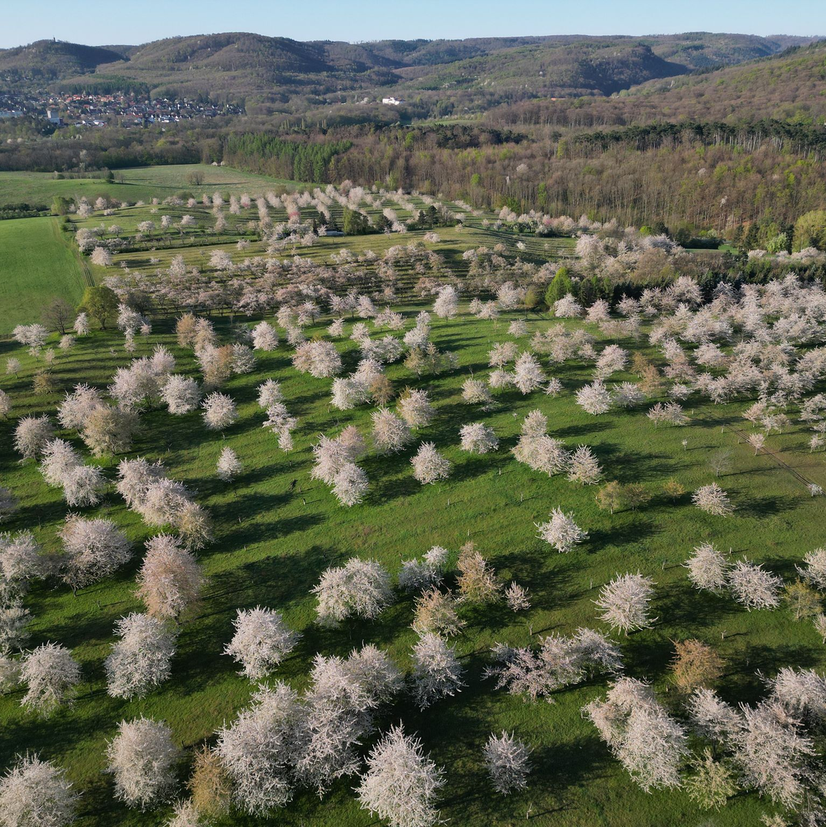Sonne und Wolken wechseln sich am Ostermontag in Deutschland ab, sagt der Deutsche Wetterdienst.  - Foto: Matthias Bein/dpa