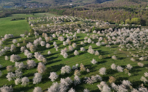 Sonne und Wolken wechseln sich am Ostermontag in Deutschland ab, sagt der Deutsche Wetterdienst. - Foto: Matthias Bein/dpa Sonne und Wolken wechseln sich am Ostermontag in Deutschland ab, sagt der Deutsche Wetterdienst. - Foto: Matthias Bein/dpa