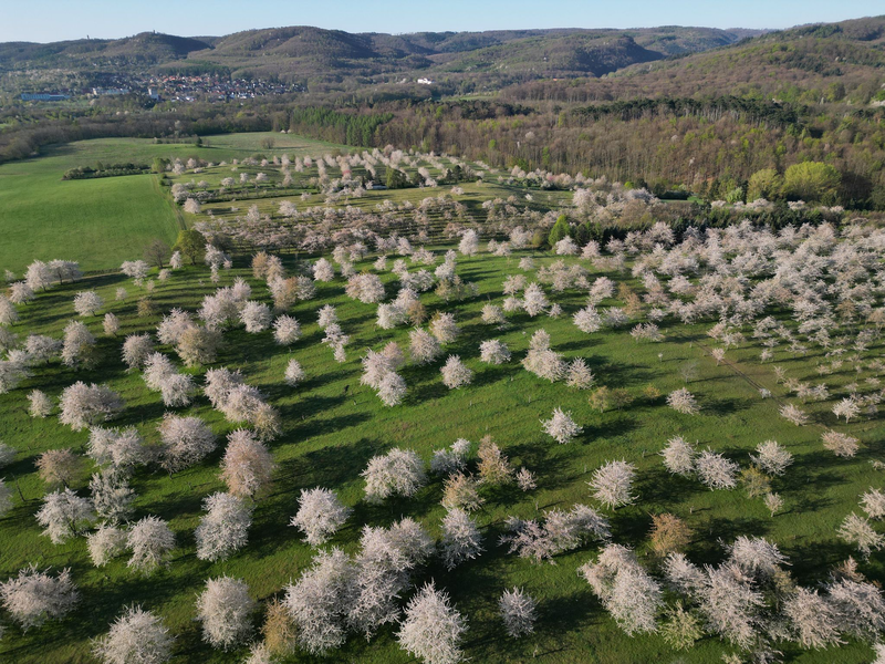 Sonne und Wolken wechseln sich am Ostermontag in Deutschland ab, sagt der Deutsche Wetterdienst.  - Foto: Matthias Bein/dpa