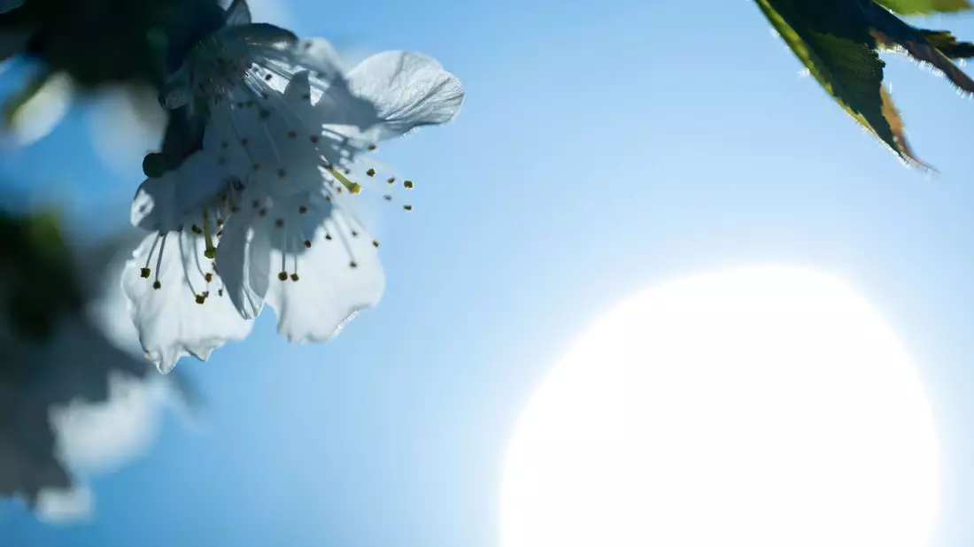 Vielerorts zeigt sich am Ostermontag auch immer wieder die Sonne.  - Bild: Pia Bayer/dpa