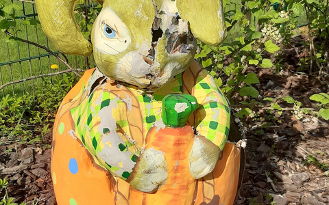 In dem Pappmasché-Osterhasen hat sich eine Waschbärin mit drei Jungen eingenistet.  - Foto: Walter Röder/dpa