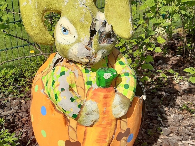 In dem Pappmasché-Osterhasen hat sich eine Waschbärin mit drei Jungen eingenistet.  - Foto: Walter Röder/dpa