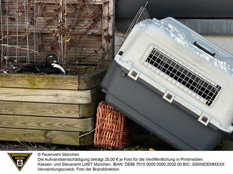 FW-M: Tierisches Osterfest (Stadtgebiet) - Foto: presseportal.de