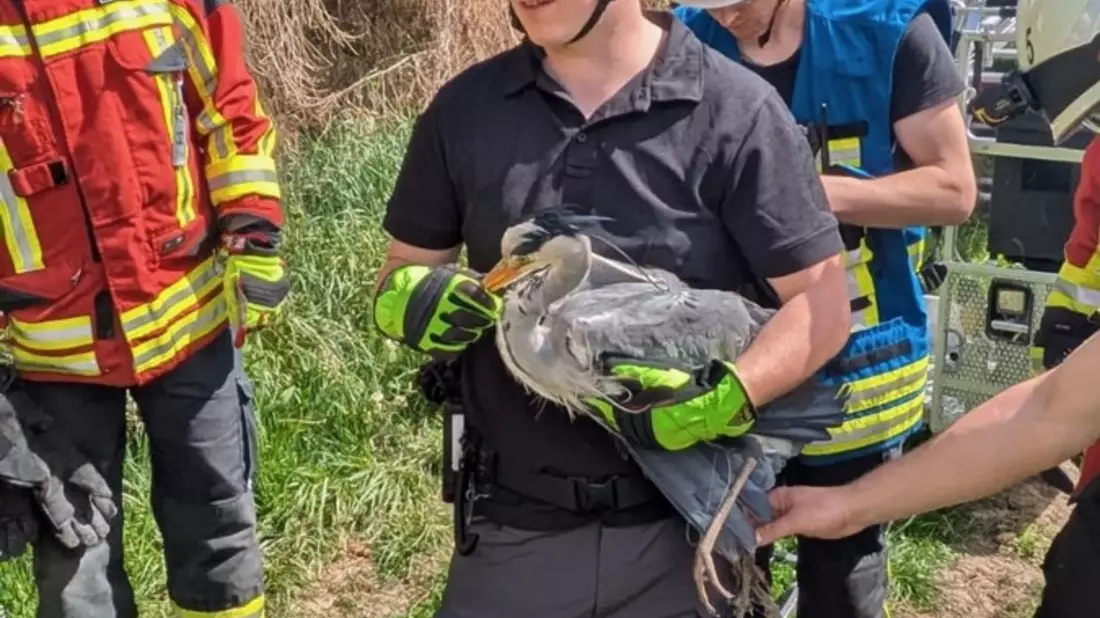 FW Stockach: Tierrettung - Bild: presseportal.de