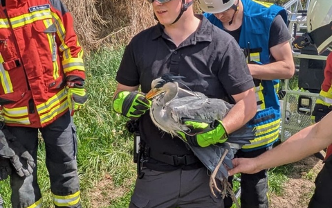 FW Stockach: Tierrettung - Foto: presseportal.de