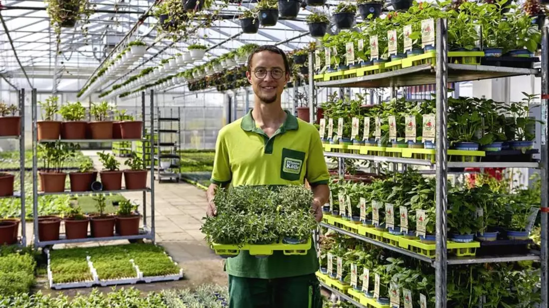 Gemüse, Kräuter und Obst aus dem eigenen Garten - Bild: presseportal.de