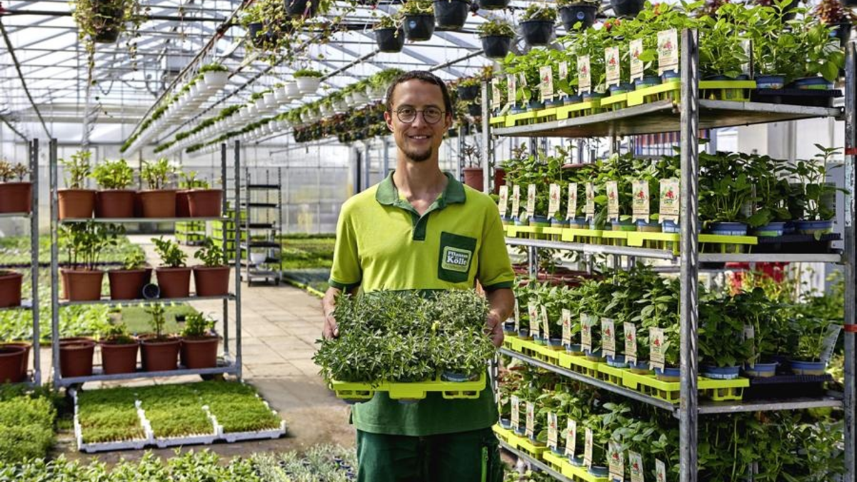 Gemüse, Kräuter und Obst aus dem eigenen Garten - Foto: presseportal.de