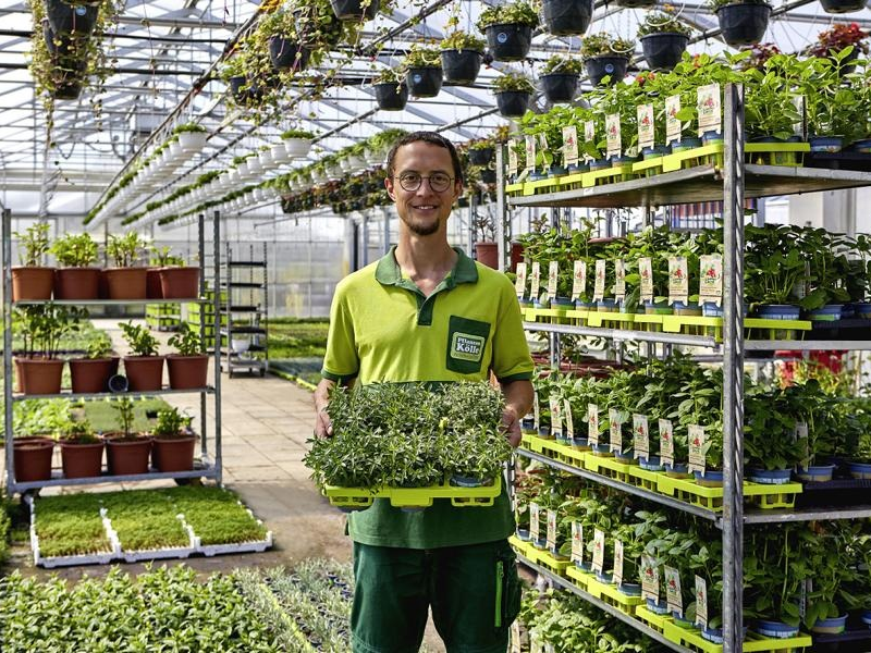 Gemüse, Kräuter und Obst aus dem eigenen Garten - Foto: presseportal.de