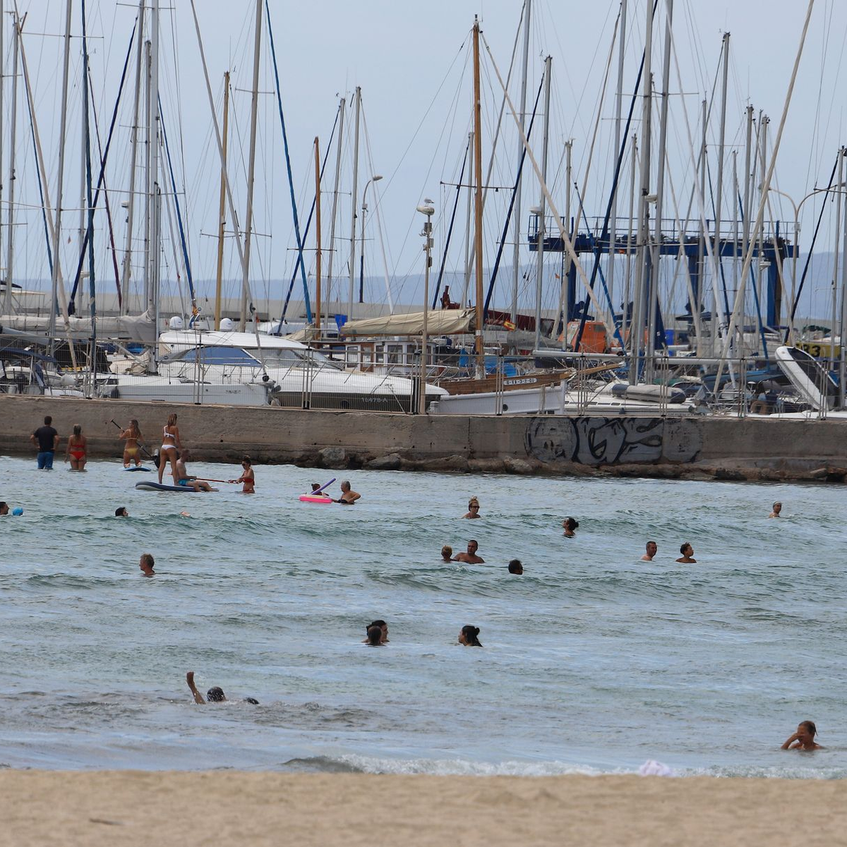 Zwei Obdachlose haben auf Mallorca ein Segelboot geklaut und sind dann in Seenot geraten. (Archiv-Bild) - Foto: Clara Margais/dpa