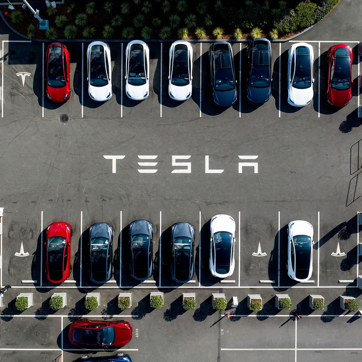 Musk sieht Teslas Zukunft in selbstfahrenden Autos - die Produktion eines Tesla-Robotaxis ohne Lenkrad und Pedale ist aber erst für 2026 geplant. (Archivbild) - Foto: Noah Berger/AP/dpa