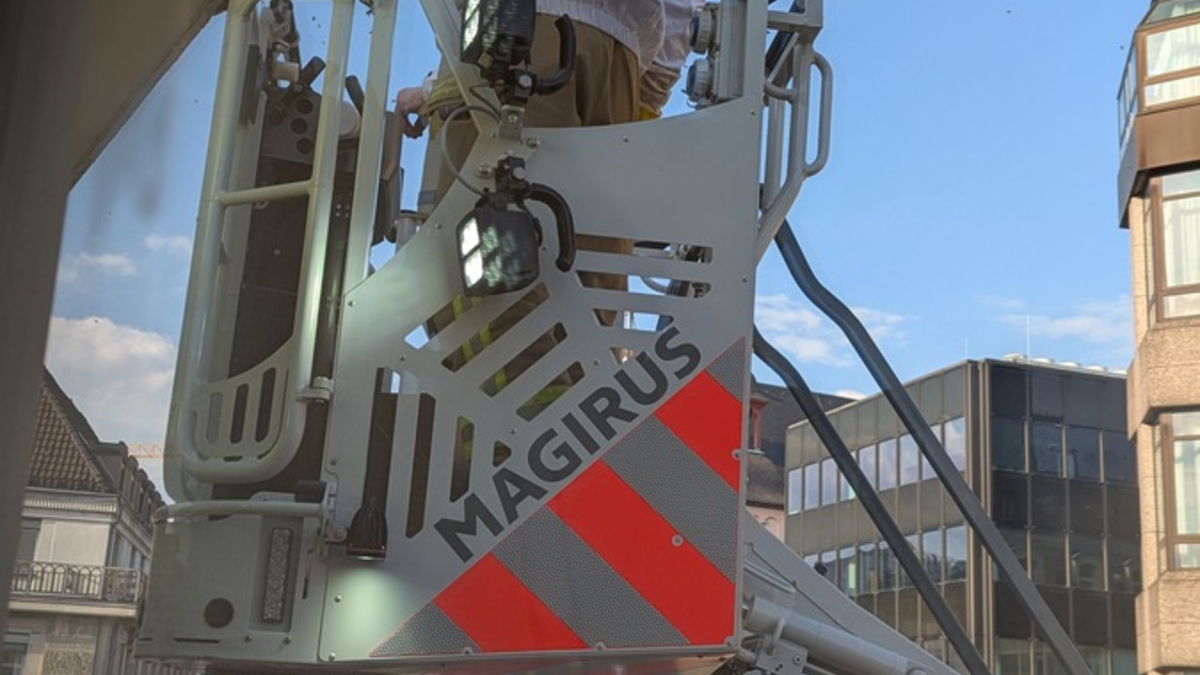 BPOL NRW: Tierische Einsätze - Bundespolizei und Feuerwehr retten Bienenvolk und Mäusebussard in Köln - Foto: presseportal.de