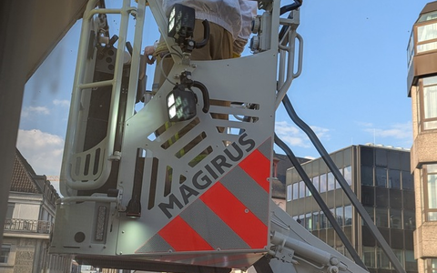 BPOL NRW: Tierische Einsätze - Bundespolizei und Feuerwehr retten Bienenvolk und Mäusebussard in Köln - Foto: presseportal.de
