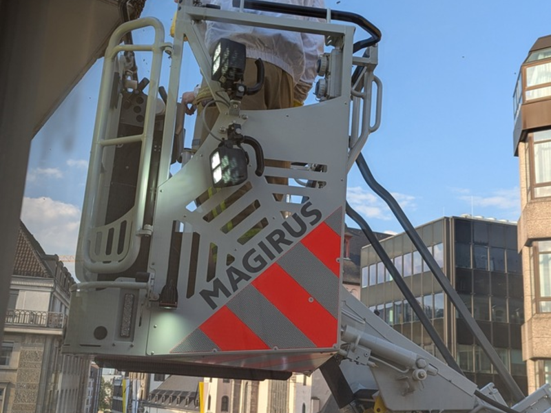 BPOL NRW: Tierische Einsätze - Bundespolizei und Feuerwehr retten Bienenvolk und Mäusebussard in Köln - Foto: presseportal.de
