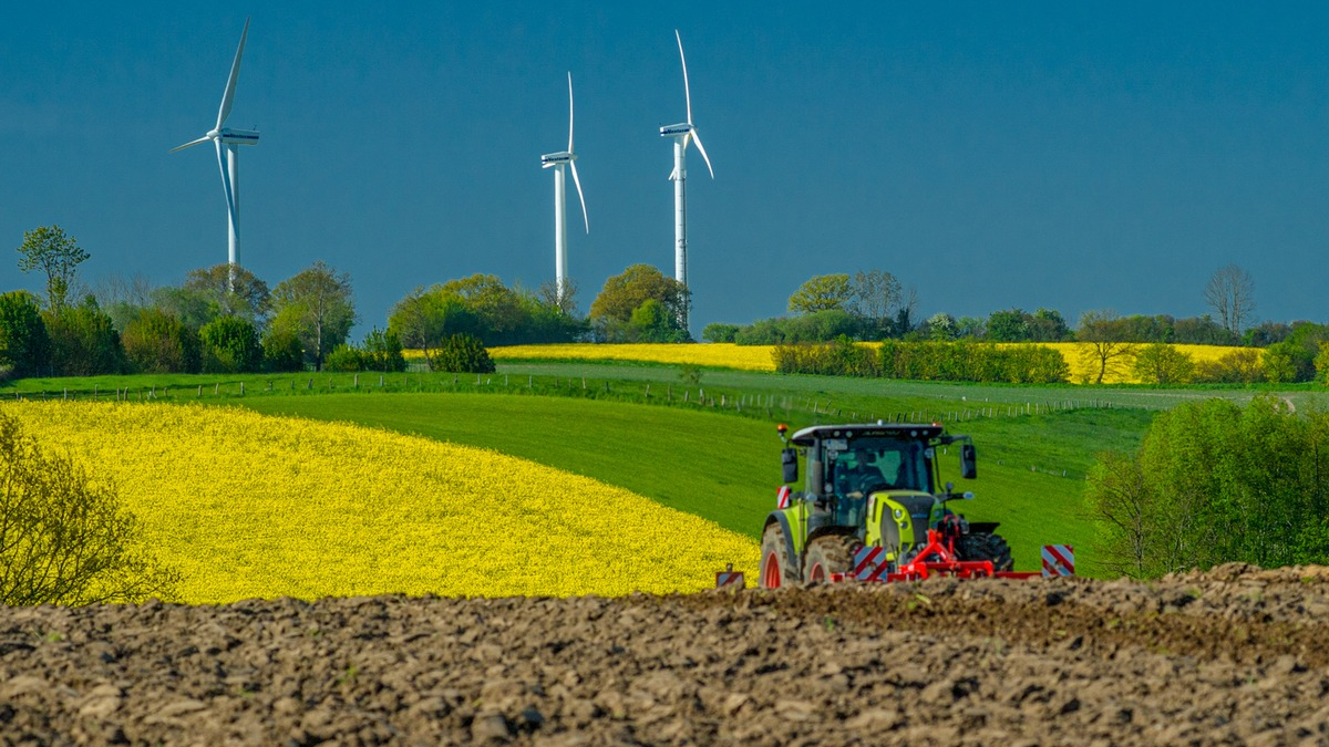 Rapsblüte 2025 / Winterraps: Eine globale Pflanze mit deutschen Wurzeln - Foto: presseportal.de