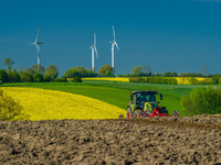 Rapsblüte 2025 / Winterraps: Eine globale Pflanze mit deutschen Wurzeln - Foto: presseportal.de