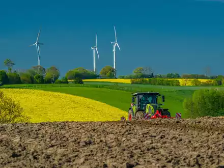 Rapsblüte 2025 / Winterraps: Eine globale Pflanze mit deutschen Wurzeln - Foto: presseportal.de