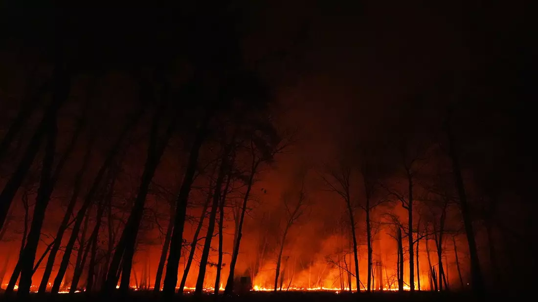Seit dem Ausbruch des Waldbrandes in New Jersey am Dienstagmorgen breiten sich die Flammen schnell aus. - Bild: Chris Szagola/AP/dpa
