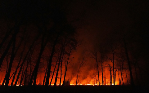 Seit dem Ausbruch des Waldbrandes in New Jersey am Dienstagmorgen breiten sich die Flammen schnell aus. - Foto: Chris Szagola/AP/dpa