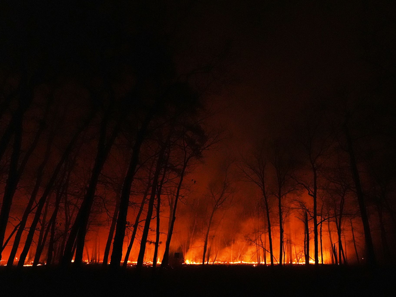 Seit dem Ausbruch des Waldbrandes in New Jersey am Dienstagmorgen breiten sich die Flammen schnell aus. - Foto: Chris Szagola/AP/dpa