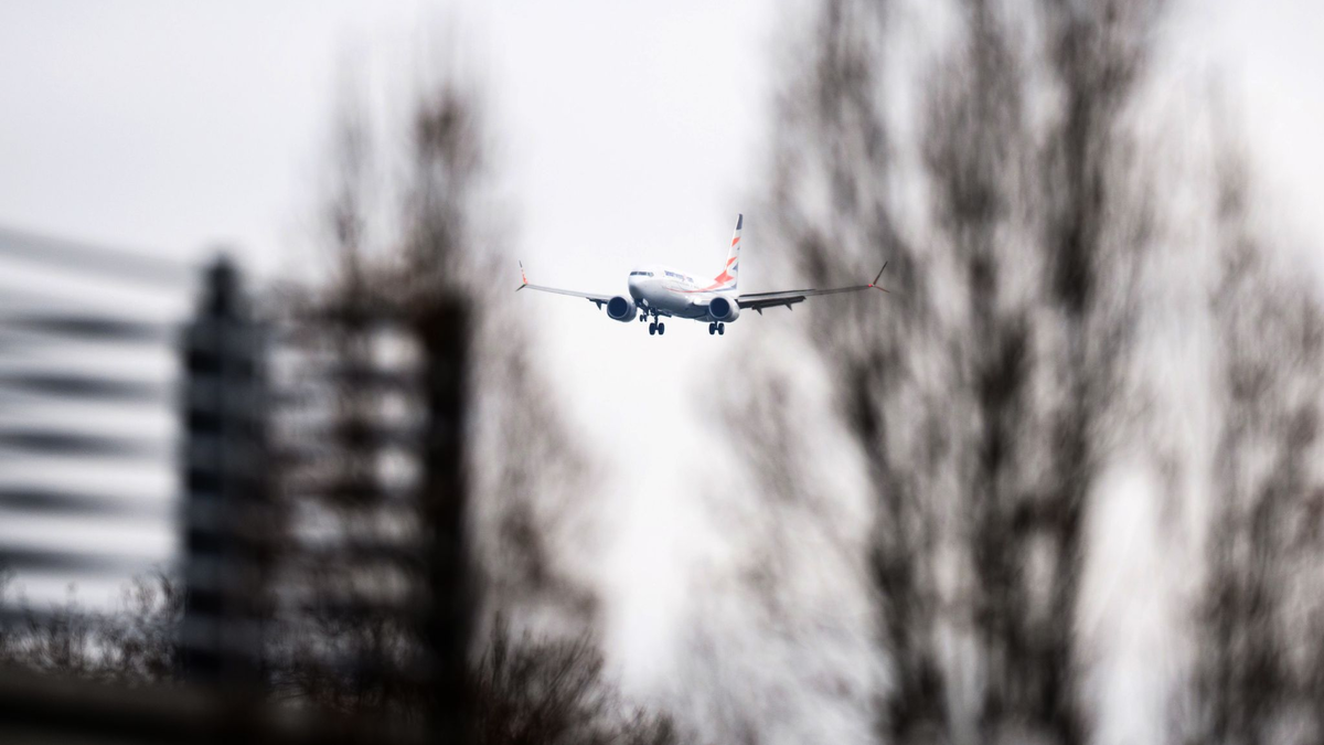 Die letzten Charterflüge mit Afghanen gingen nach Berlin, Hannover und Halle/Leipzig. (Archivbild) - Foto: Julian Stratenschulte/dpa