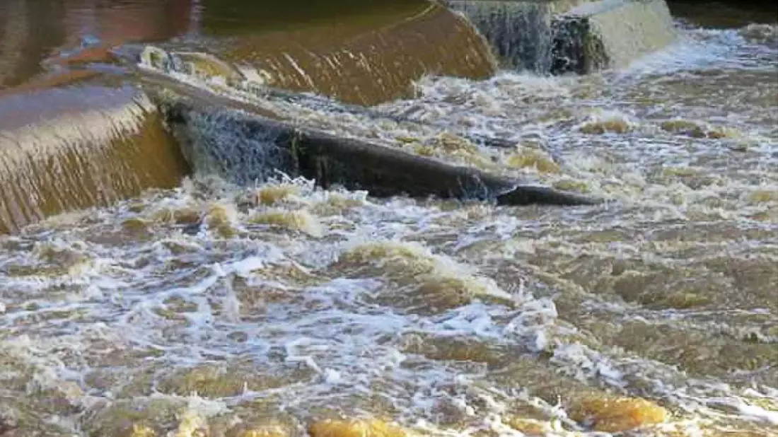 Nach einem Unglück auf dem walisischen Fluss Cleddau, bei dem 2021 vier Stand-up-Paddler starben, hat ein Gericht die Veranstalterin der Tour zu einer langen Haftstrafe verurteilt.  - Bild: -/Crown Prosecution Service via PA Media/dpa